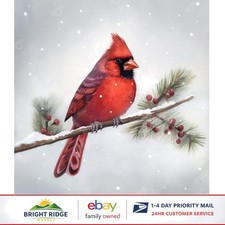 Diamond Art Painting Kit - Winter Cardinal Theme for Adults' Creative Projects