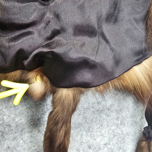 Vintage Real Fur Stole Wrap Brown Shawl Tails Old Hollywood Glam Whimsy Warm - Picture 7 of 12