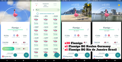 #ad Pokémon Go Flamigo x30 Mini P T C 100K Stardust $3.90