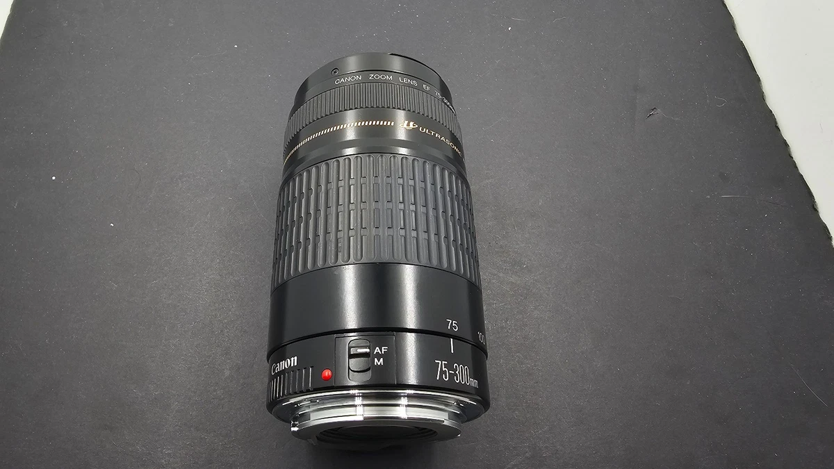 Canon EF 75-300mm Camera Lenses for sale | eBay