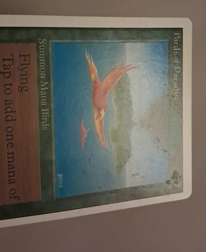 Birds of Paradise HP Unlimited MTG Magic the Gathering - Image 3 of 4