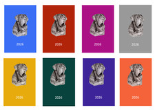 Neapolitan Mastiff 2026 Diary A5, A6, A4 Dog Show, Normal, Appointment