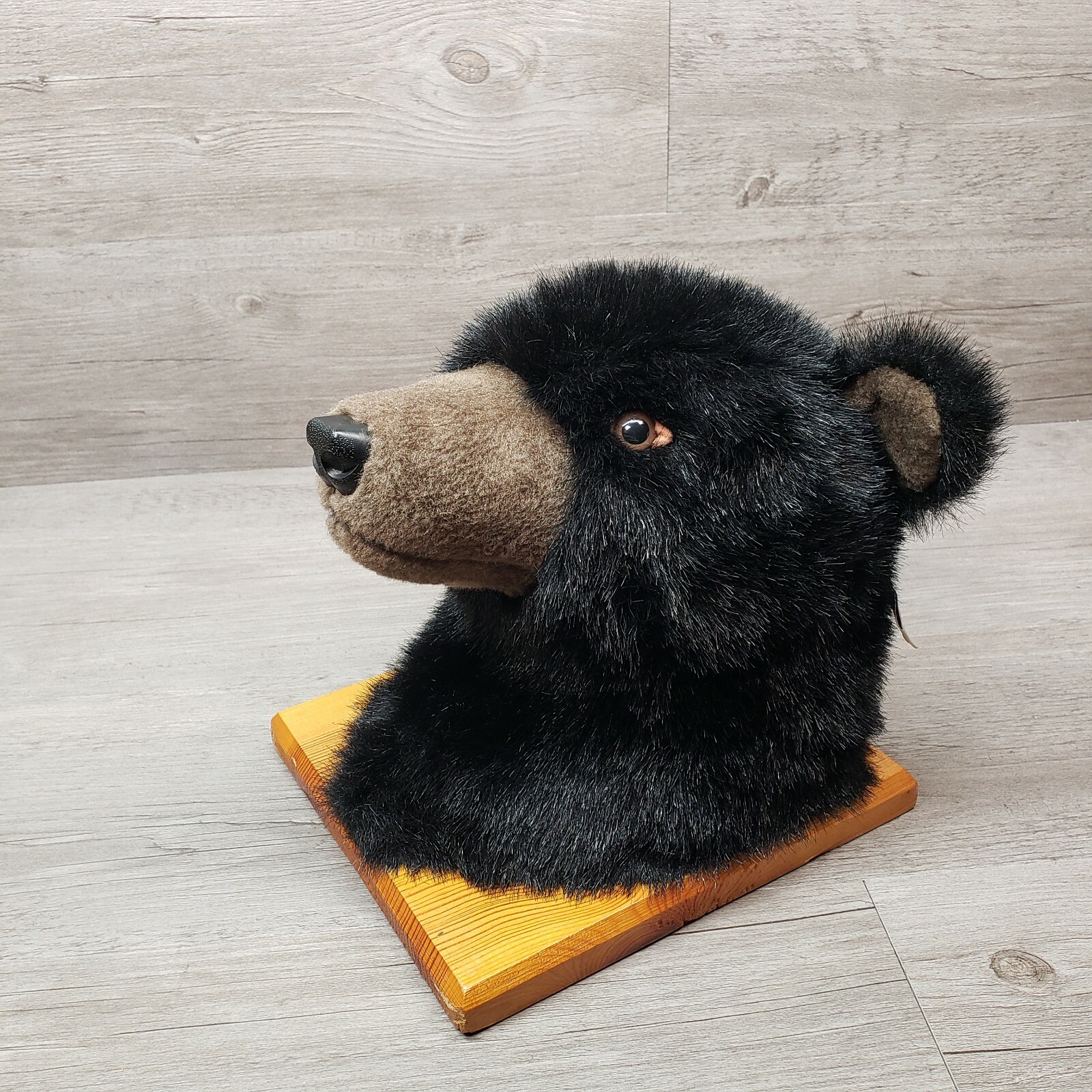 stuffed bear head wall mount