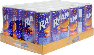 Rani Float Orange Drink With Fruit Chunks 235ML (24er Pack)