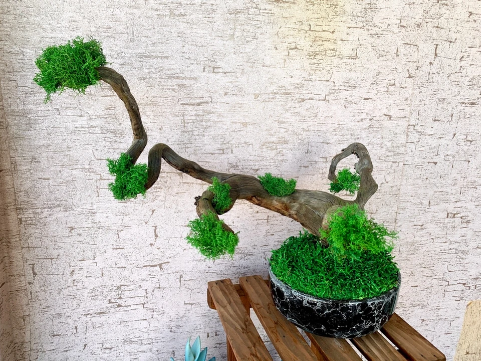 Керамическая ваза дерево мох искусство, реальный дерево ветви, ручной работы домашнего декора, природы декор - Изображение 3 из 4