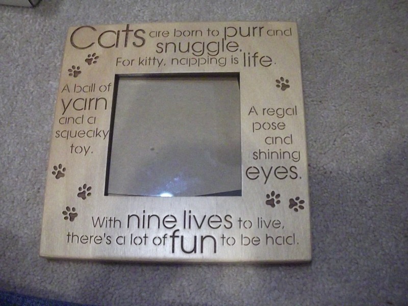 Cute Cat frame  3 by 3