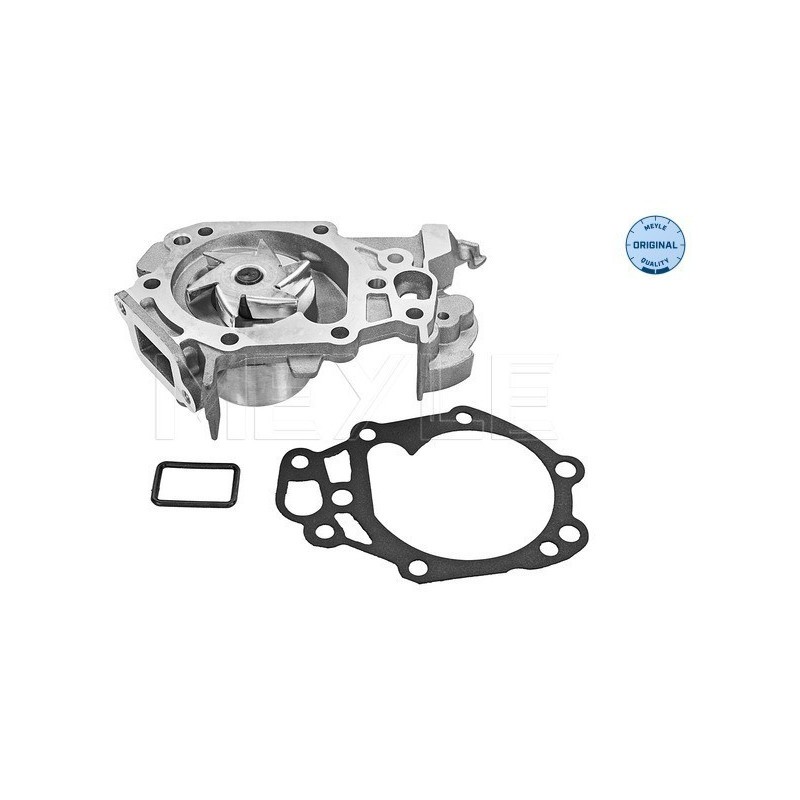 MEYLE 16-13 220 0021 Water Pump for Clio Logan Twingo Sandero Kangoo Thalia Wind