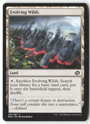 [T373] Evolving Wilds 261/287 C ENG