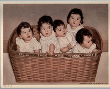 1936 NEA Service Promo Photo Dionne Quintuplets in Basket great Made in USA 8X10
