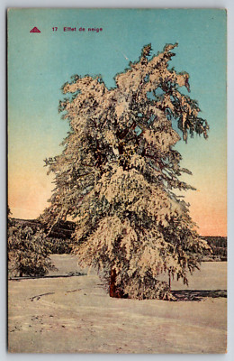 Effet de Neige Snow Winter Season Tree Vintage Postcard France