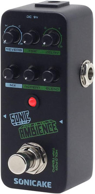 Delay Reverb Pedal Sonic Ambience Multi Mode Tap Tempo Delay and Reverb Guitar B