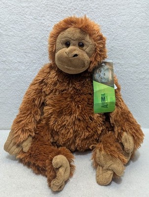 Animal Planet markiert Wilde Augen Orang-Utan Entdeckungskanal offizielle Ware