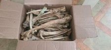 HUGE Lot Of Deer Bones Naturally Cleaned Craft Decor Ethical 