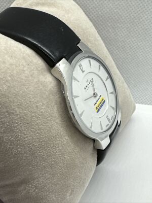 Skagen 433LSLB1 Women