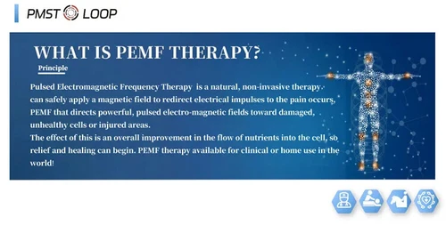 Pemf PMST Loop Immunity Enhancement Pain Relief Bones Repair Magnetic Machine - Picture 12 of 23