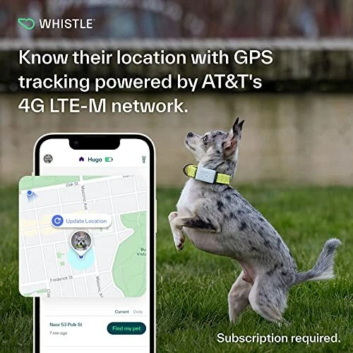 Whistle gps cheap dog tracker