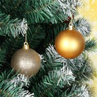Foto 12 di 31