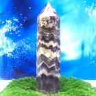Bild 7 von 12