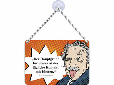 Kulthanger Blechschild Stress Mit Idioten Albert Einstein Kh124 Ebay