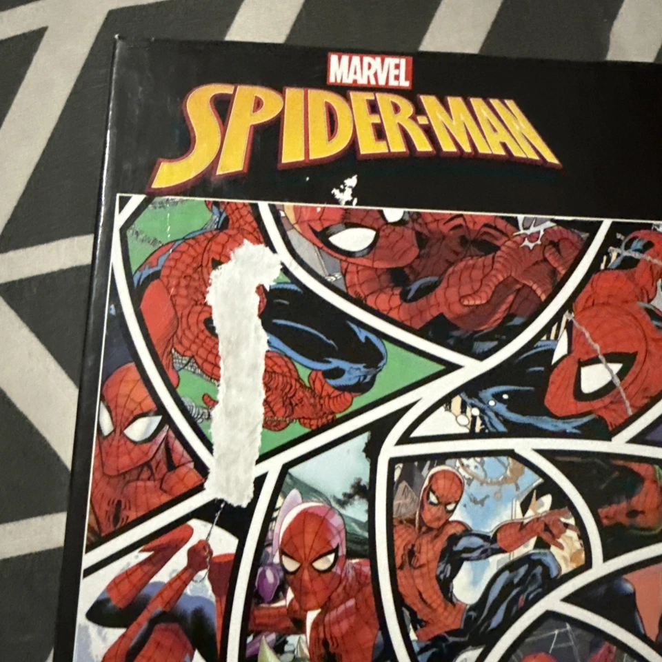 Rompecabezas Buffalo Games Web of Spider-Man 400 piezas Foto 3 de 4