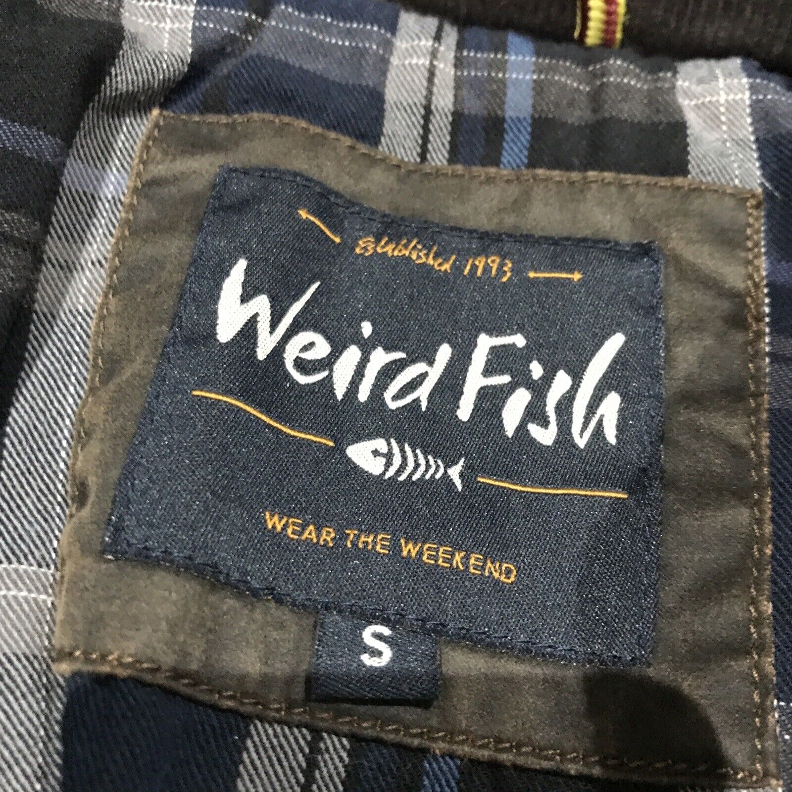 weird fish jacket mens | eBay