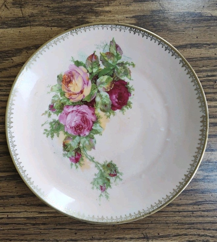 Three Crown China Germany 8" Plate Roses Decorated - Great Colors 