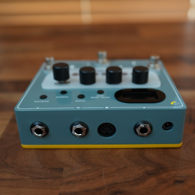 Bananana Effects Pitch Shift Sequencer Arpeggiator Pedal TARARIRA