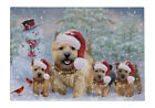Norwich Terrier Dog Christmas Cutting Board Glass For Kitchen Chopping Vegetable