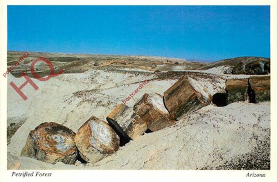 Bild Postkarte> Nationalpark Versteinerter Wald