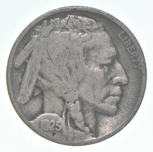 1925 (P) Indian Head Buffalo Nickel Average Circ *0730