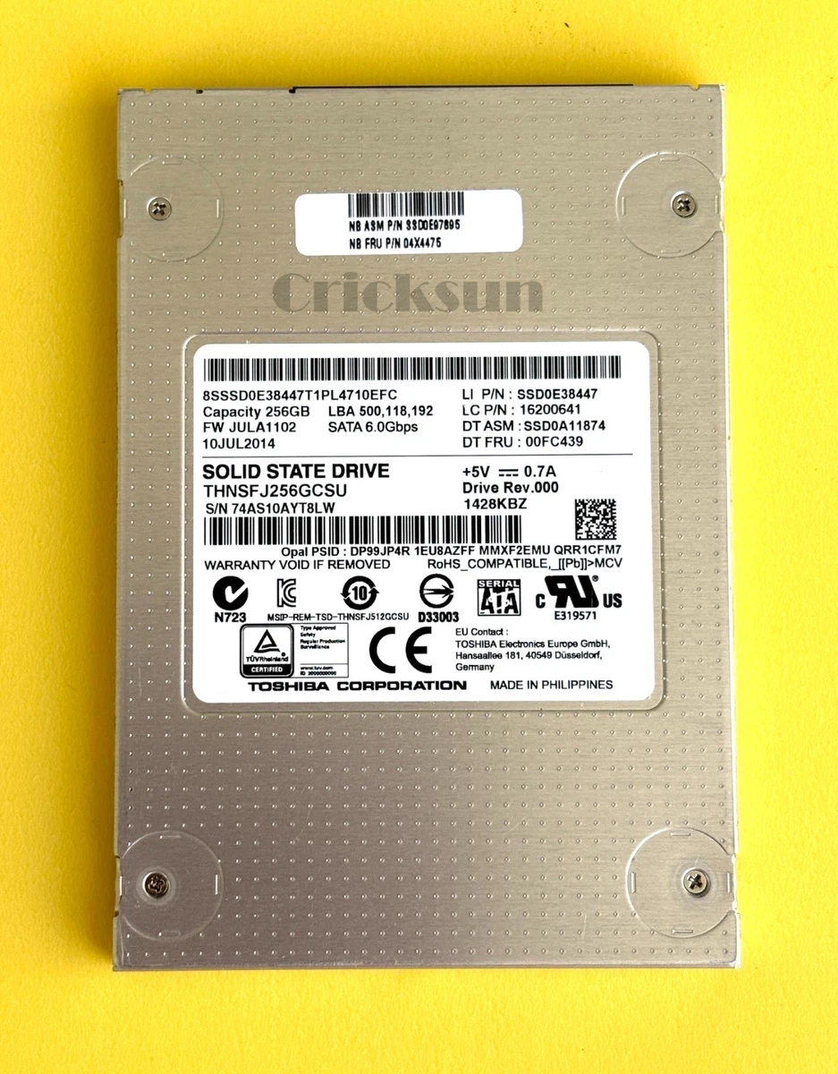 Toshiba SATA II 256 GB Solid State Drives for sale | eBay
