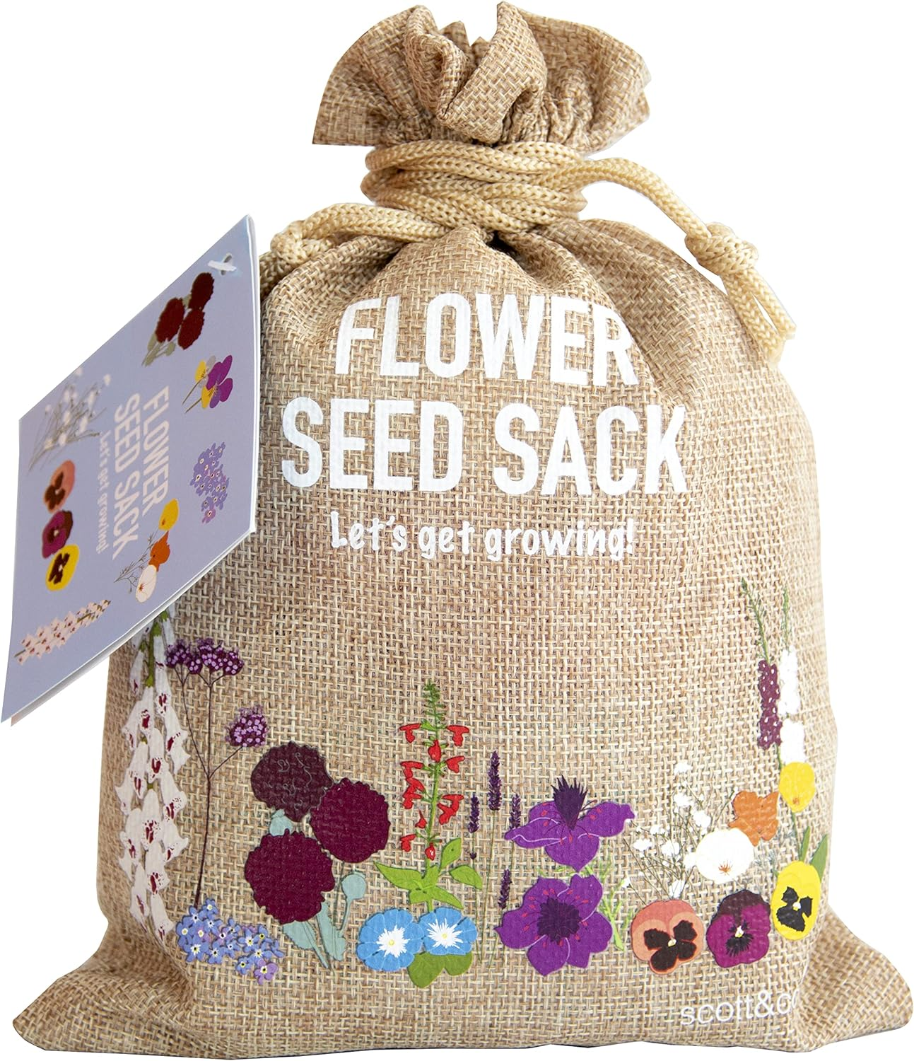 Scott&Co. Flower Seed Variety Pack - 30 Different Varieties of Flower Seeds to G