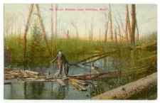 c1909 Cadillac Michigan Trout Stream fisherman and dog Little Manistee River?