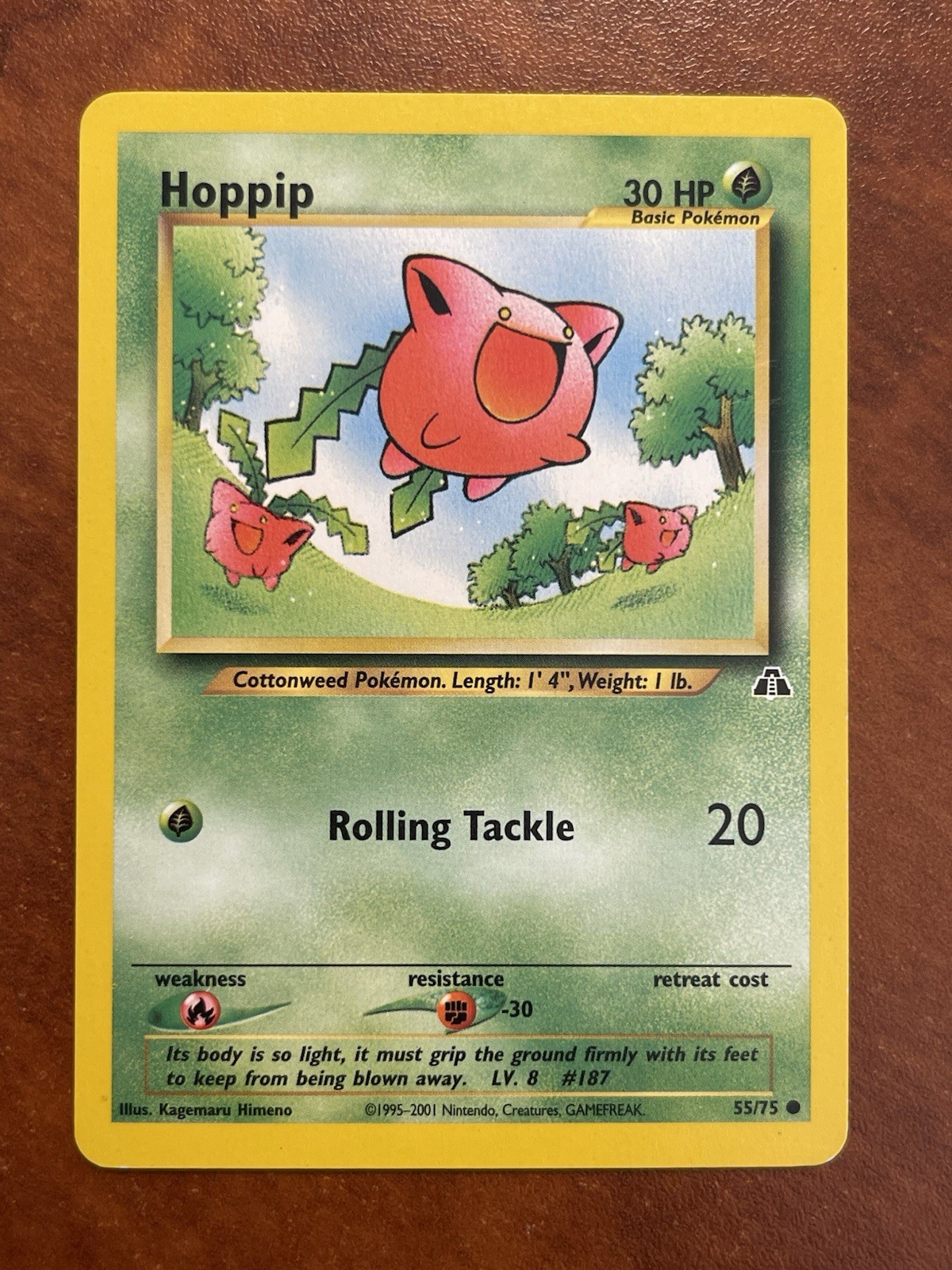 Pokémon-Hoppip-Neo Discovery 55/75-NM
