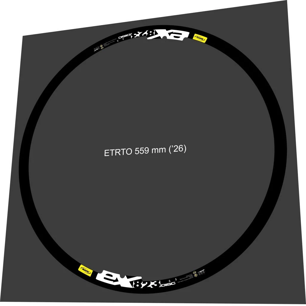 Mavic Module 3D Argent, alte Version, 28", 40 Loch, silber, Stückprei