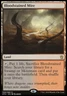 Magic the Gathering MTG Bloodstained Mire (230) Khans of Tarkir   LP