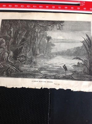 H2-2 Ephemera 1872 Exlibris Amazonas - Eine Flussszene in der Nähe des Amazonas