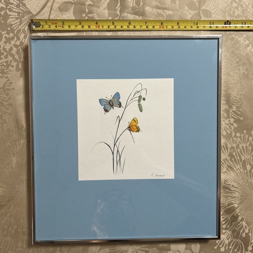 Guillermo Zuniga Framed Sketch ART Butterflies Signed 12x11 - Picture 7 of 9