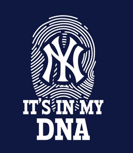 nyy shirts