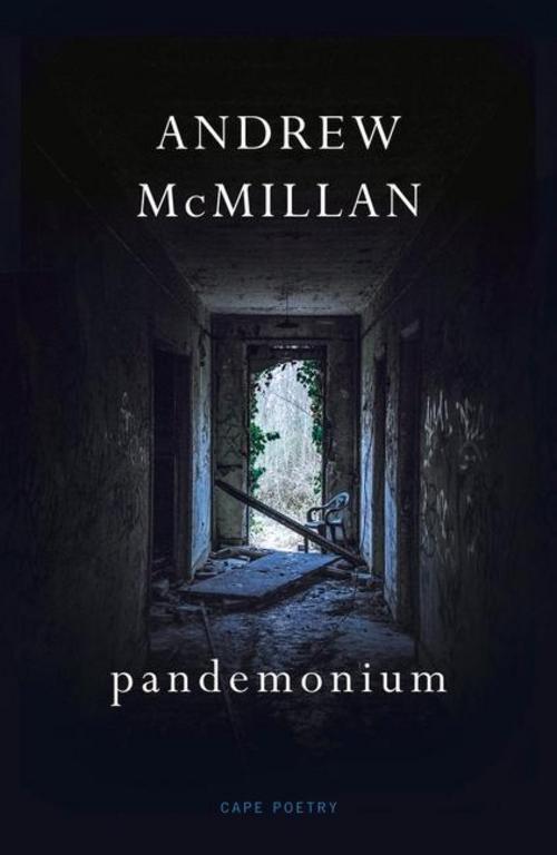 Thumbnail - Andrew Mcmillan / Pandemonium / 9781787333192