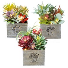 Succulents Plants Artificial in Pots Small Fake Plants with Led String Light ...