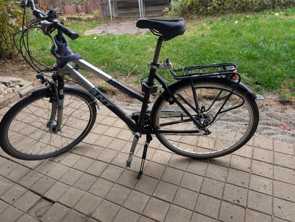 Fahrrad Damen 55 cm