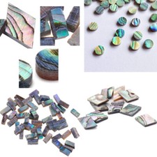20/50/100pc Abalone Paua Shell Diamond Inlay Luthier Guitar Fretboard Jewelry
