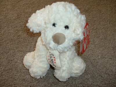 kellytoy dog toy