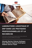 Laboratoire Logistique Et Erp Dans Les Pratiques Professionnelles Et La Rec
