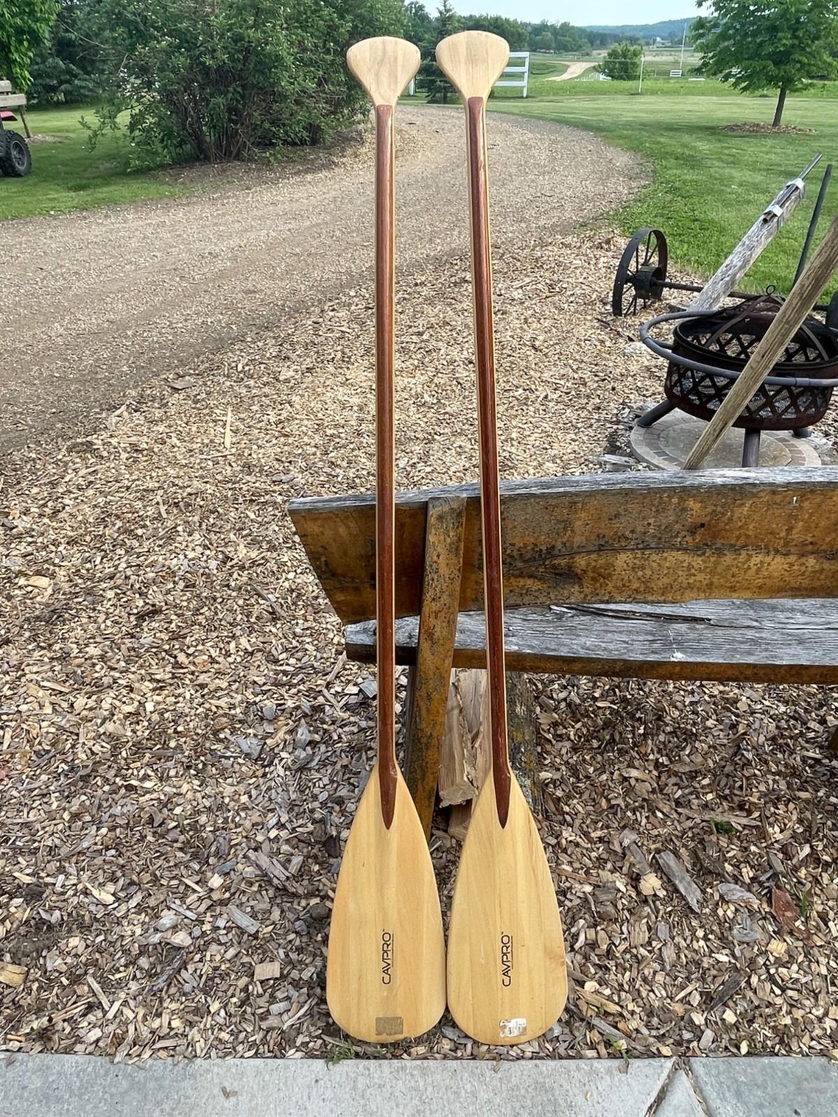 Picture 4 of 4