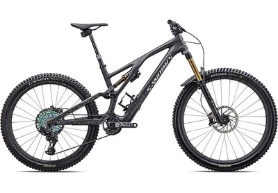 Stumpjumper Evo S-Works Satin Carbon / Brushed Liquid Black Metal / Limestone /