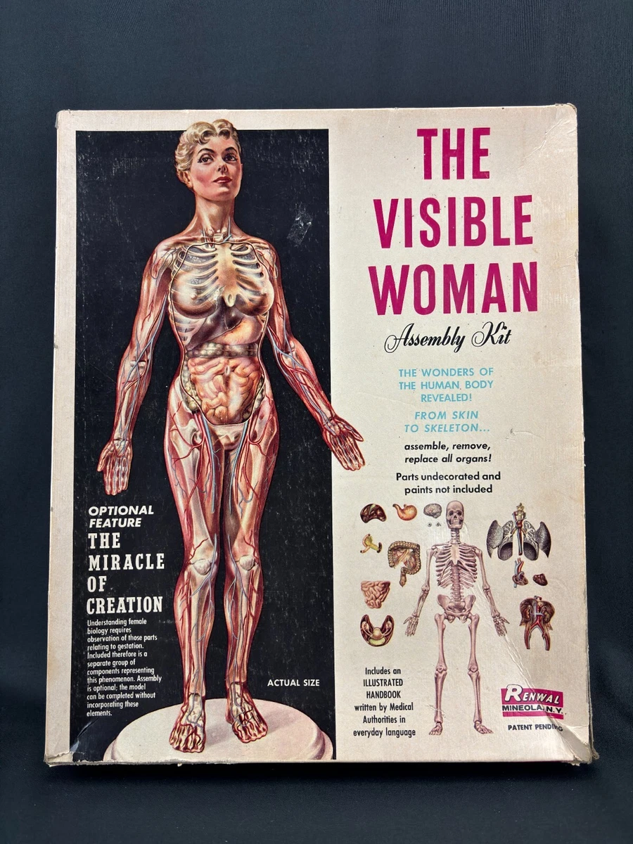 visible woman products for sale | eBay