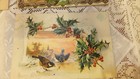 Foto 12 di 12