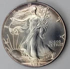 1992 American Eagle Silver Dollar .999 Pure, 1 oz. Silver Dollar Toned Uncirc